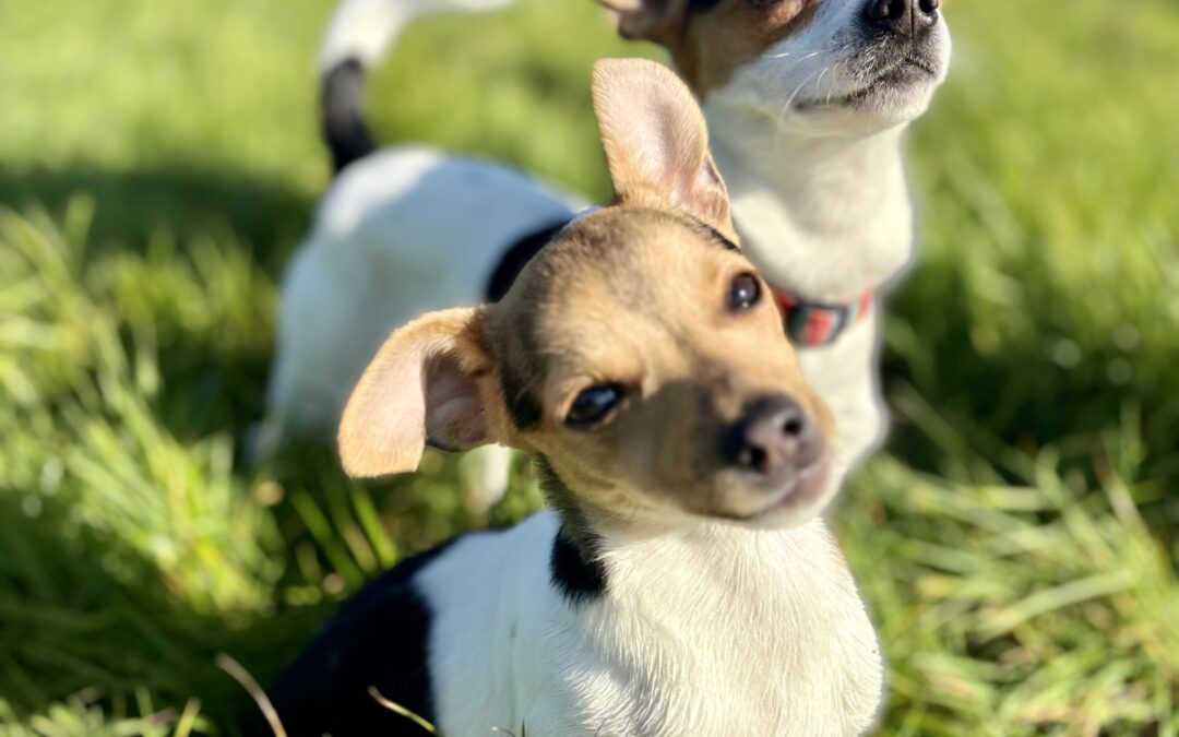 Belle and George